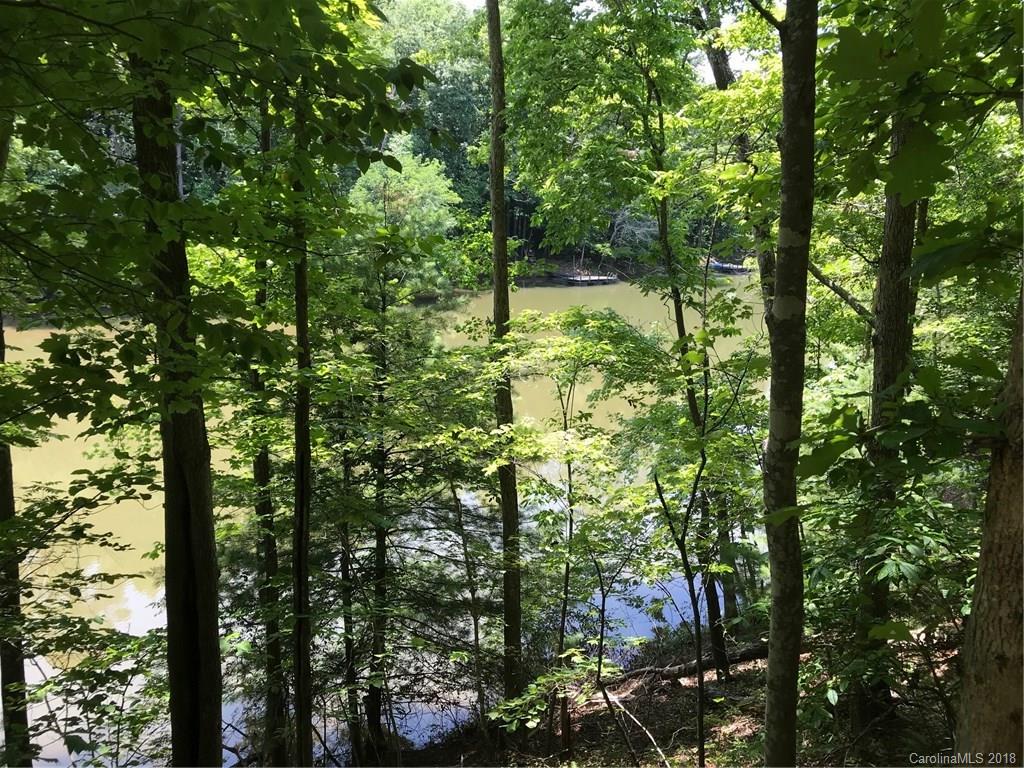 Lot #29-30 South Lot#29-30 S Cove Rd Mill Spring, Unit 29 & 30 Mill Spring, NC 28756 - Photo 7 of 10