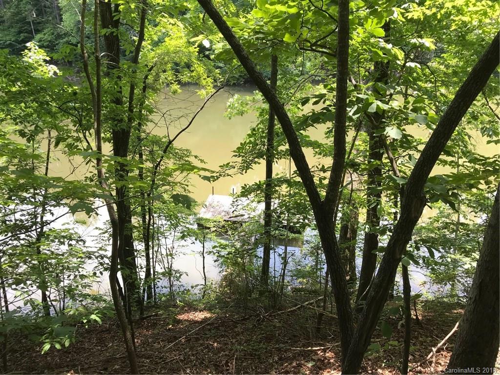 Lot #29-30 South Lot#29-30 S Cove Rd Mill Spring, Unit 29 & 30 Mill Spring, NC 28756 - Photo 8 of 10