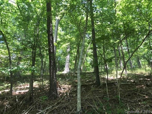 Lot #29-30 South Lot#29-30 S Cove Rd Mill Spring, Unit 29 & 30 Mill Spring, NC 28756 - Photo 9 of 10