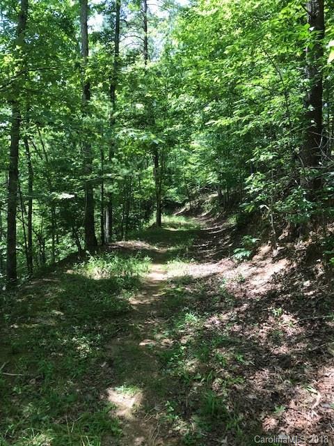 Lot #29-30 South Lot#29-30 S Cove Rd Mill Spring, Unit 29 & 30 Mill Spring, NC 28756 - Photo 10 of 10