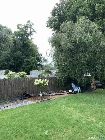 a view of a park with large trees