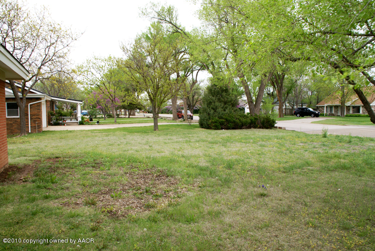 5124 Arden Road Amarillo, TX 79110 - Photo 41 of 42 a view of a tree in a yard