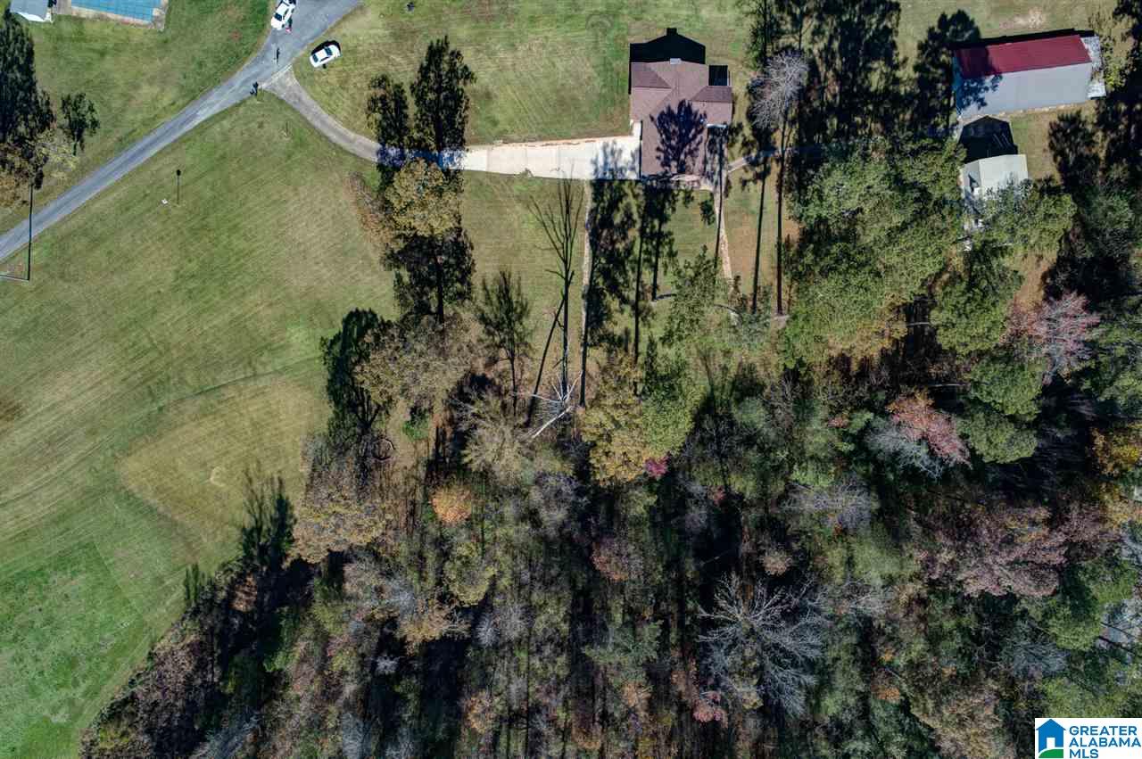 313 Old Black Crk Road Birmingham, AL 35217 - Photo 11 of 49