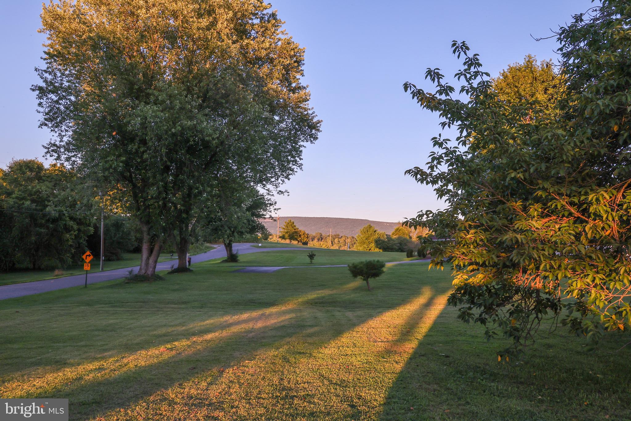 19717 Toms Road Boonsboro, MD 21713 - Photo 41 of 60 a view of a park with large trees