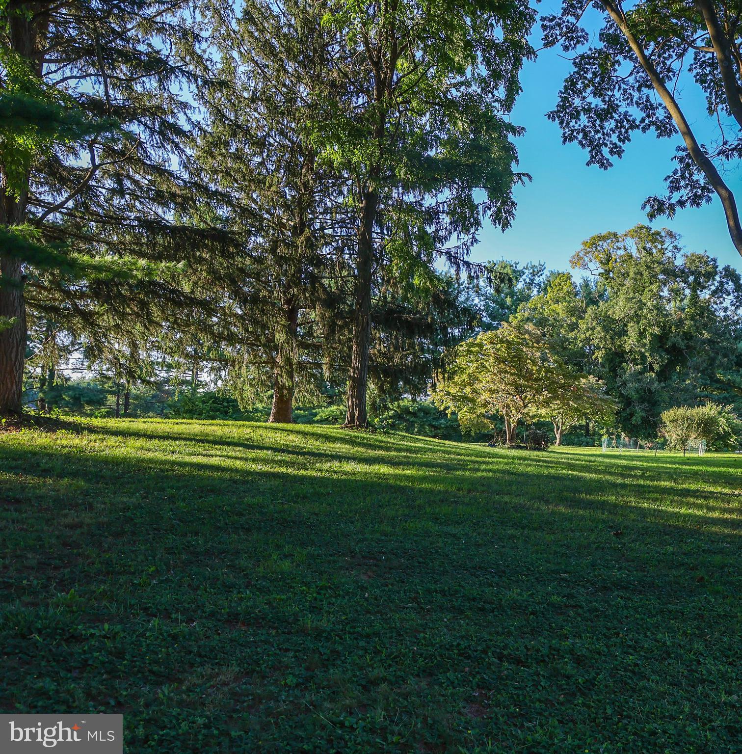 19717 Toms Road Boonsboro, MD 21713 - Photo 42 of 60