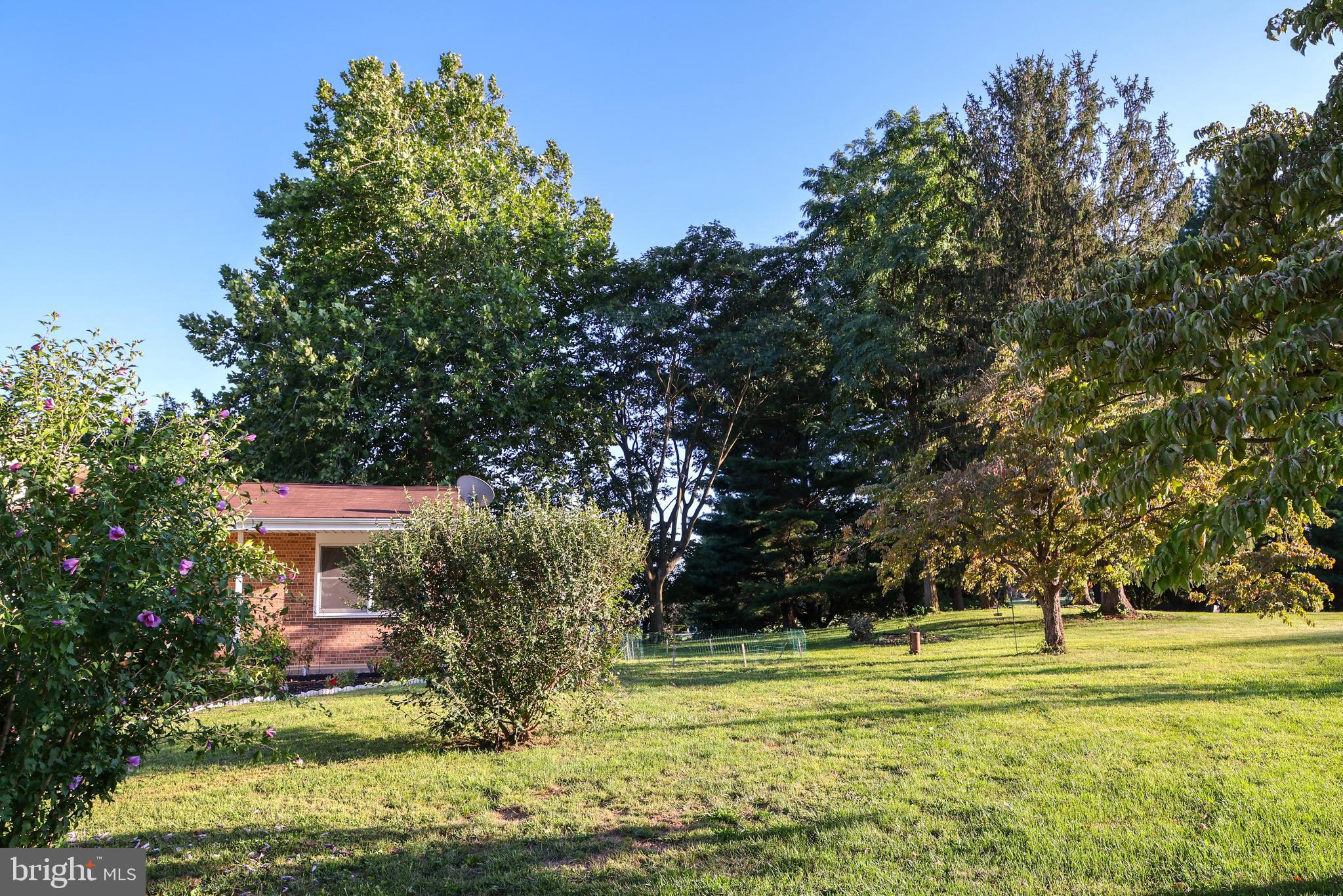19717 Toms Road Boonsboro, MD 21713 - Photo 47 of 60 a garden view