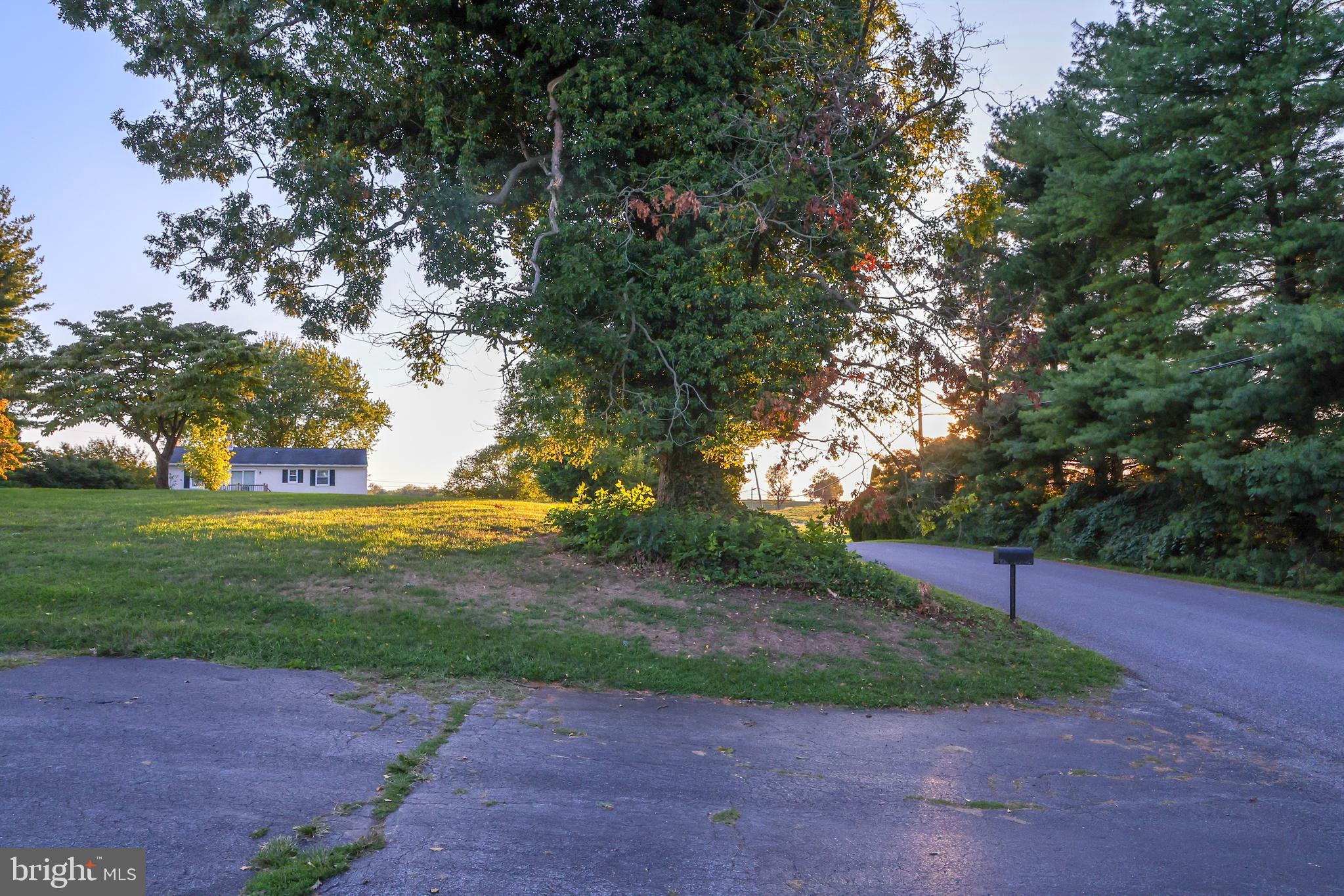 19717 Toms Road Boonsboro, MD 21713 - Photo 50 of 60 a view of a park with large trees