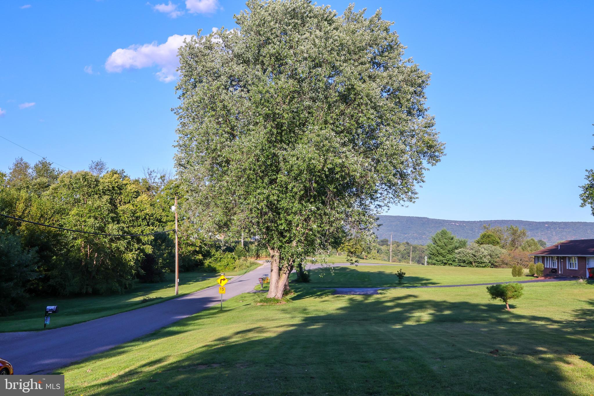 19717 Toms Road Boonsboro, MD 21713 - Photo 51 of 60 a view of a park with large trees