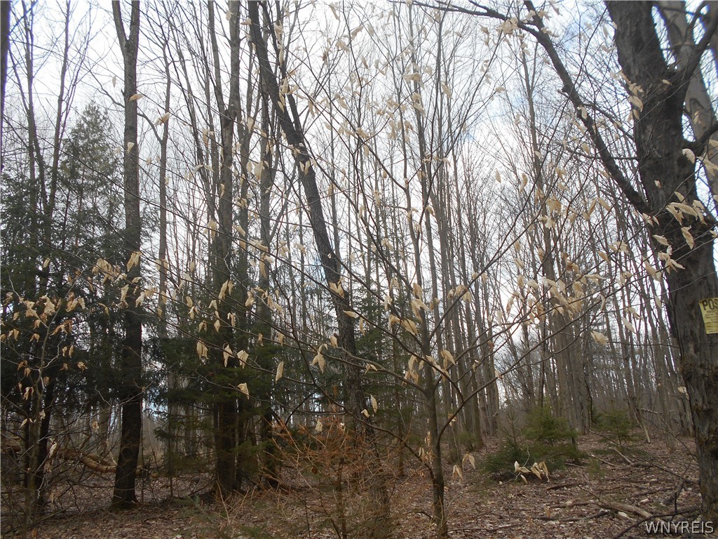 0 Genesee Road Lawtons, NY 14091 - Photo 19 of 34