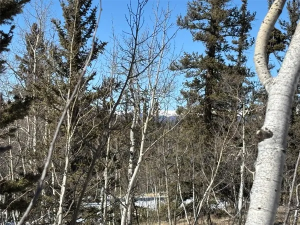 a view of a yard