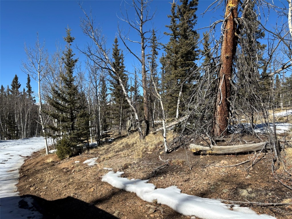 192 Bear Way Como, CO 80456 - Photo 12 of 14 a view of a fire pit with large trees