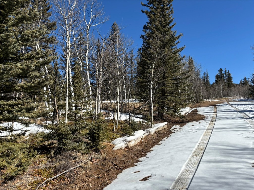 192 Bear Way Como, CO 80456 - Photo 13 of 14 a view of a pathway with a yard