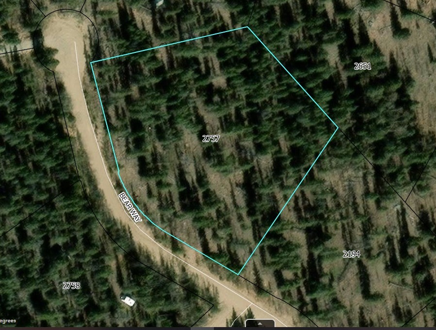 192 Bear Way Como, CO 80456 - Photo 14 of 14 a view of a plant