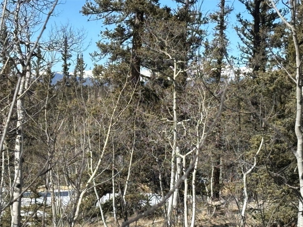 192 Bear Way Como, CO 80456 - Photo 2 of 14 a view of a yard