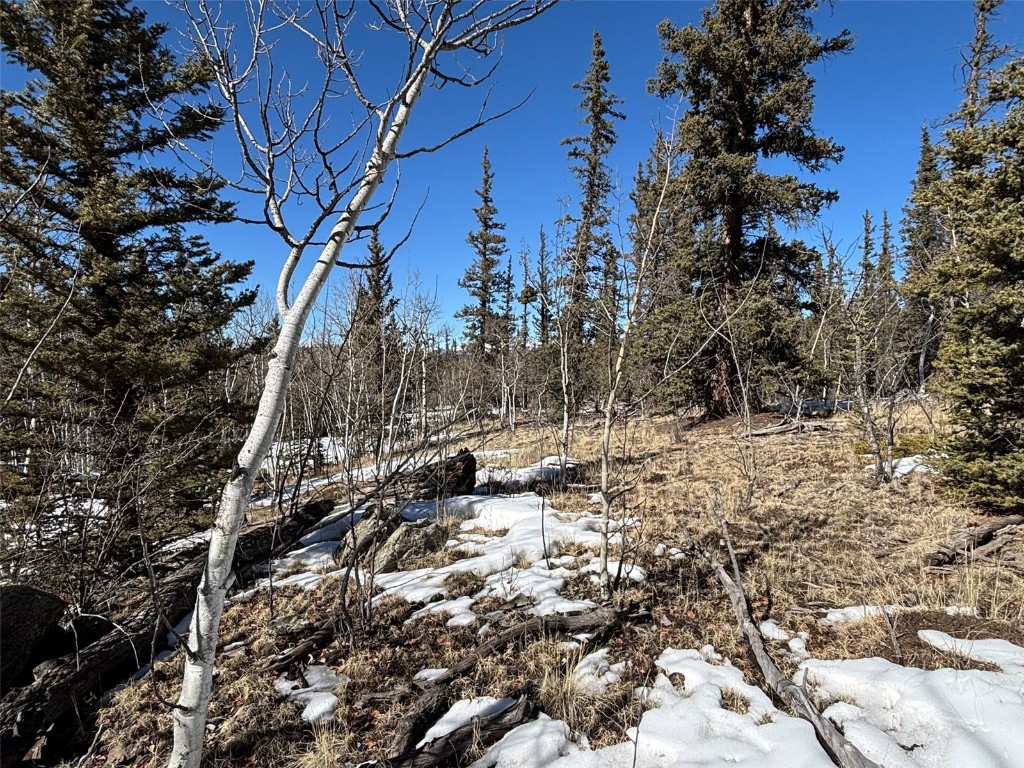 192 Bear Way Como, CO 80456 - Photo 4 of 14 a view of covered with snow
