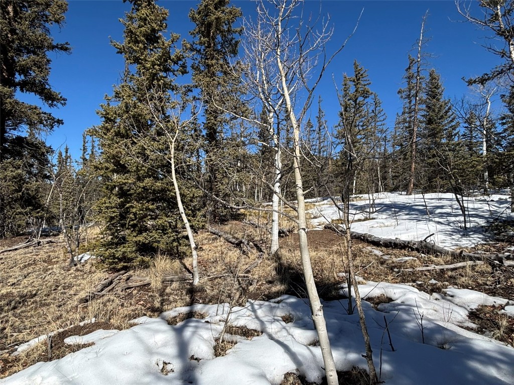 192 Bear Way Como, CO 80456 - Photo 5 of 14 a view of water yard