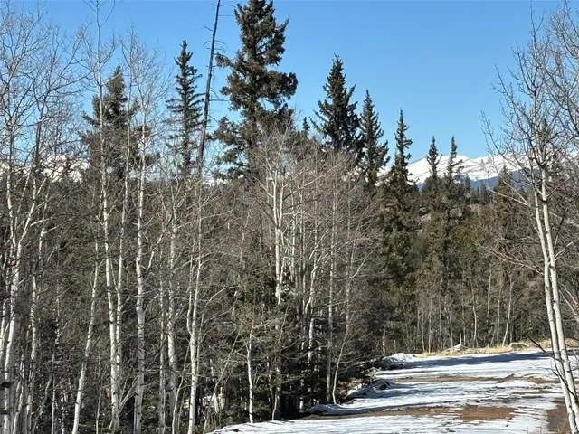 a view of a yard with snow on the road