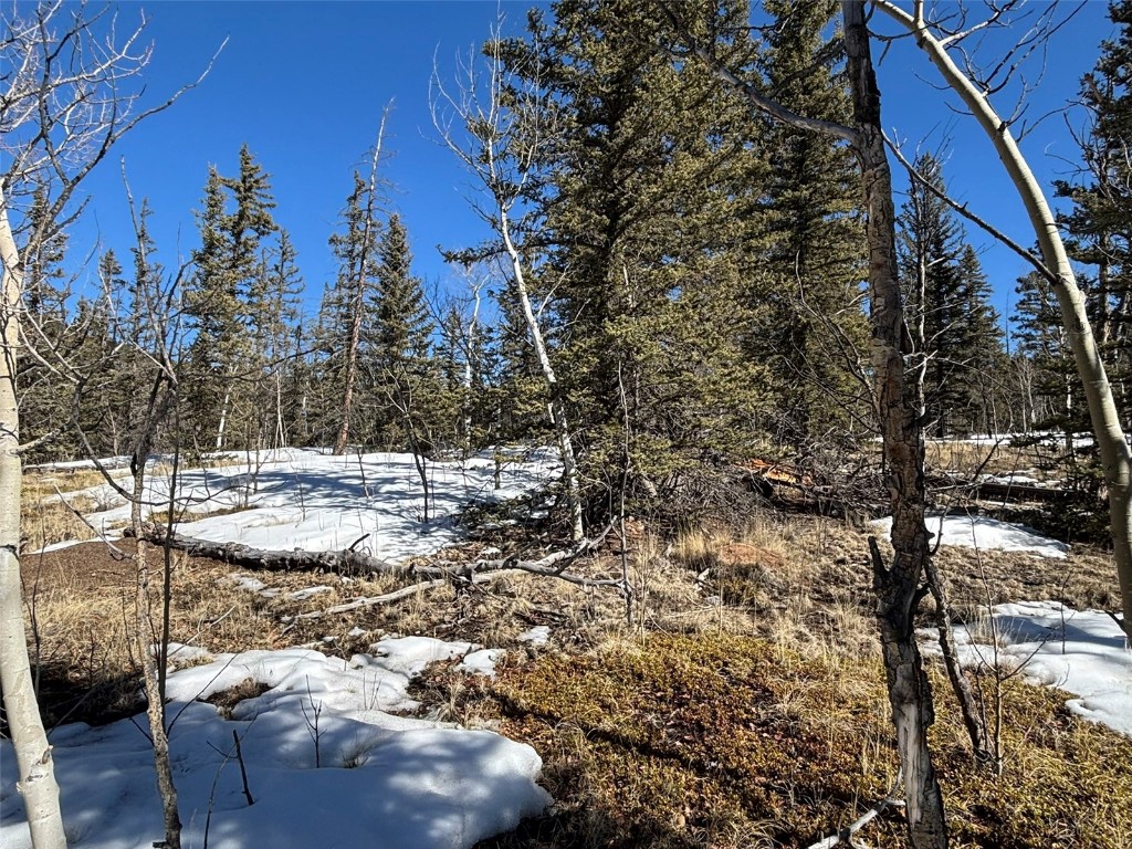 192 Bear Way Como, CO 80456 - Photo 8 of 14 a view of a yard with snow on the road