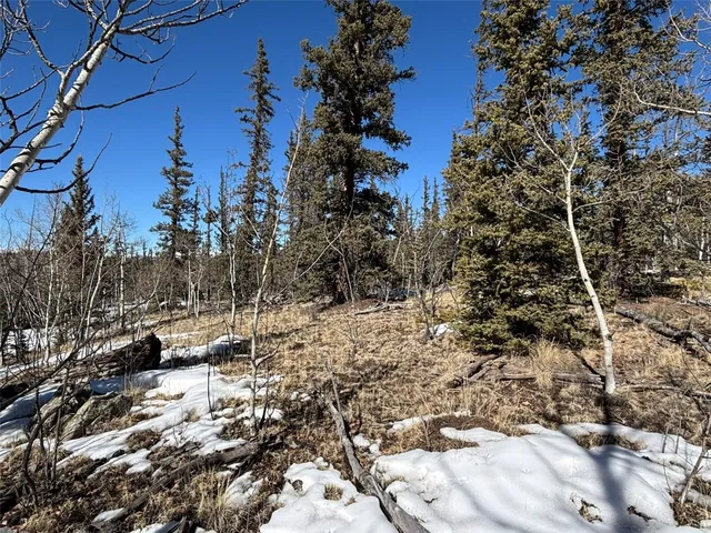 a view of a house with a trees