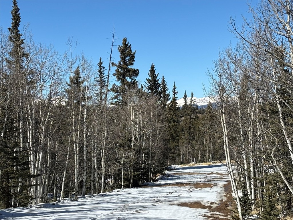 192 Bear Way Como, CO 80456 - Photo 10 of 14 a view of a house with a trees