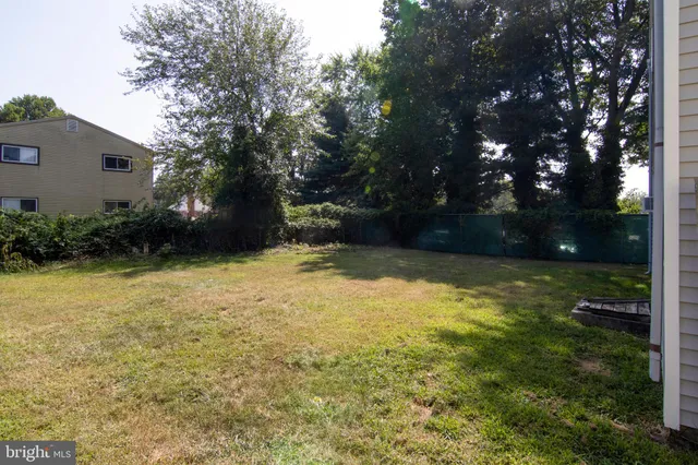 a view of a yard with plants and trees
