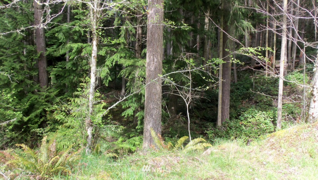 0 Strider Road Langley, WA 98260 - Photo 2 of 5 Gallery Image 2