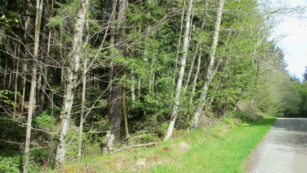 0 Strider Road Langley, WA 98260 - Photo 3 of 5 Gallery Image 3