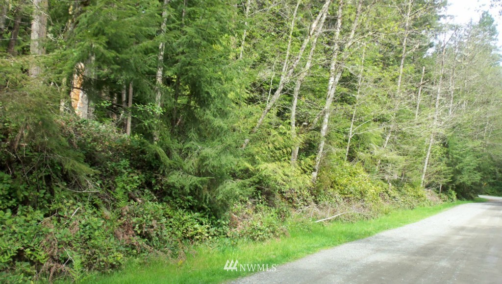 0 Strider Road Langley, WA 98260 - Photo 5 of 5 Gallery Image 5
