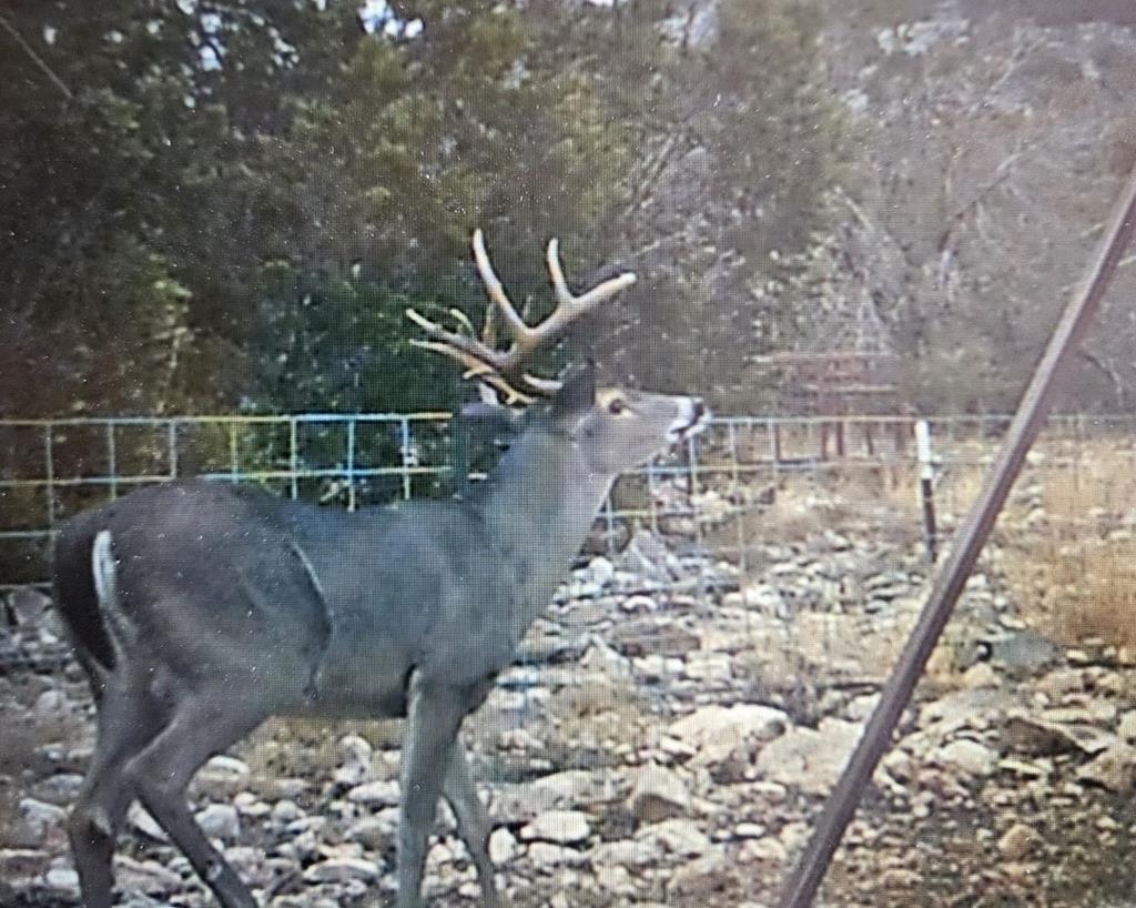 a view of outdoor space