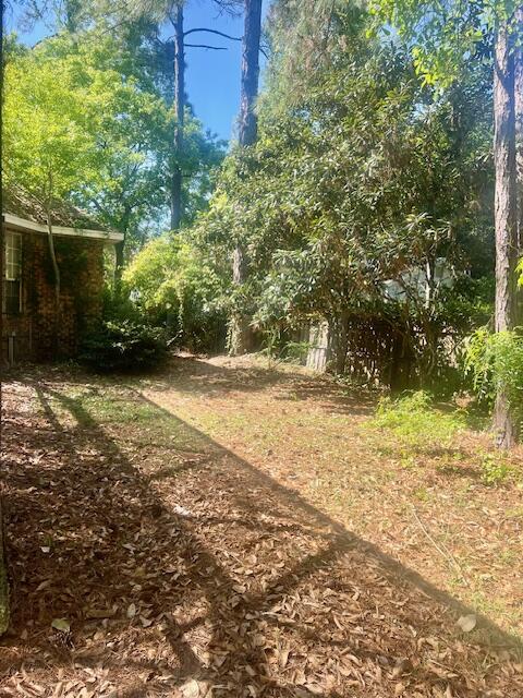 782 Driftwood Point Road Santa Rosa Beach, FL 32459 - Photo 29 of 33 a view of a yard with plants and a bench