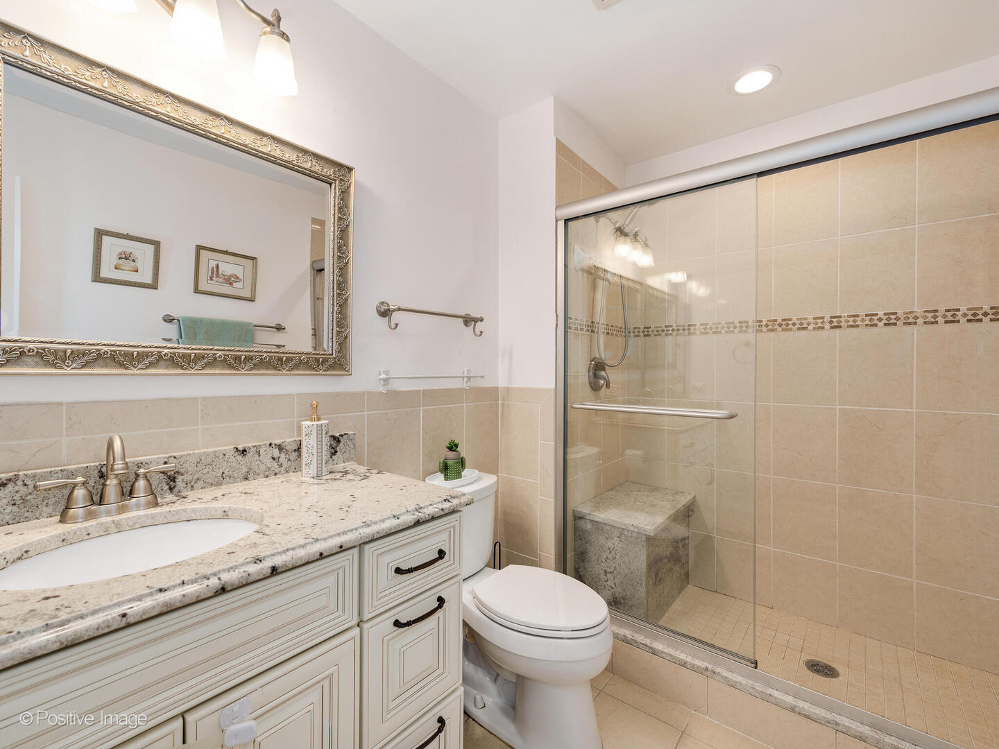 2393 North Wayne Avenue Chicago, IL 60614 - Photo 15 of 24 a bathroom with a granite countertop sink toilet and shower