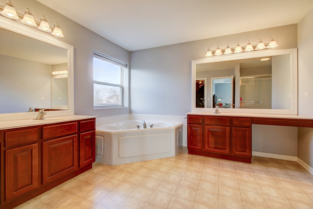 3 Firethorn Court Bolingbrook, IL 60490 - Photo 25 of 39 a spacious bathroom with a tub sink and mirror