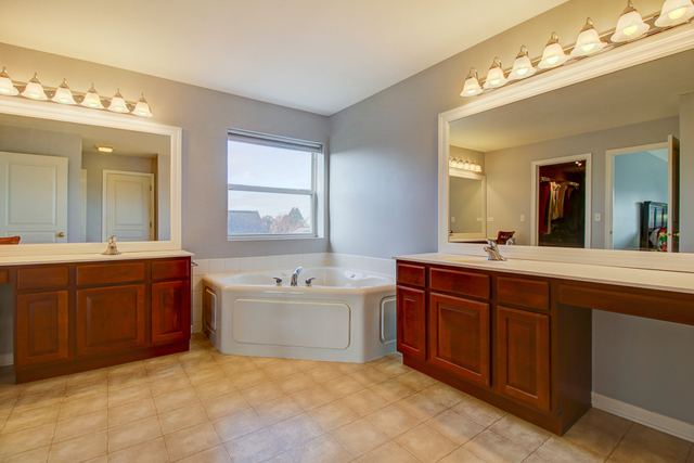 3 Firethorn Court Bolingbrook, IL 60490 - Photo 28 of 39 a spacious bathroom with a tub sink double and mirror