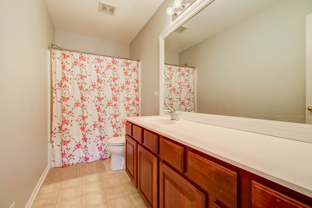 3 Firethorn Court Bolingbrook, IL 60490 - Photo 30 of 39 a bathroom with a sink and a mirror