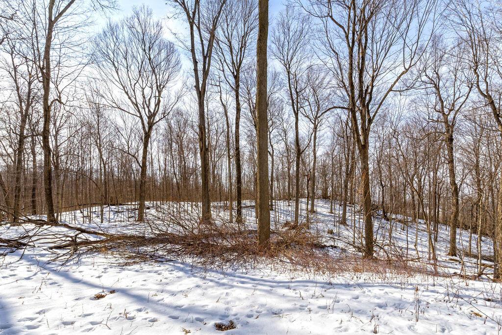 0 Eaglenest Road West Liberty, OH 43357 - Photo 8 of 45