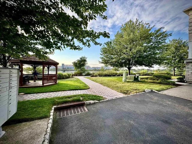 a view of a park with large trees