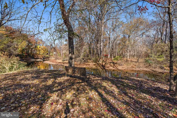 a view of a yard with plants and trees