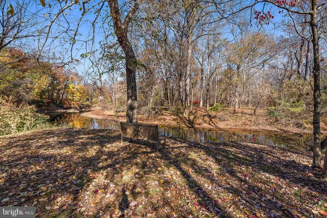 a view of a yard with plants and trees