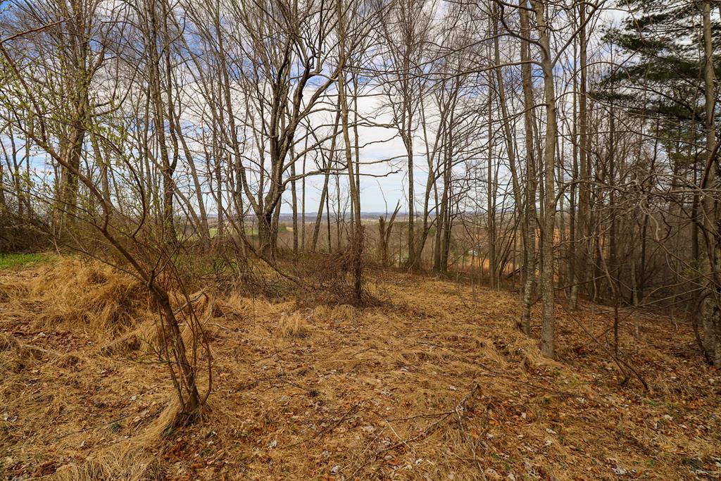 Tbd Tbd Keno Road, Unit 1 Laurel Fork, VA 24352 - Photo 4 of 20 Gallery Image 4