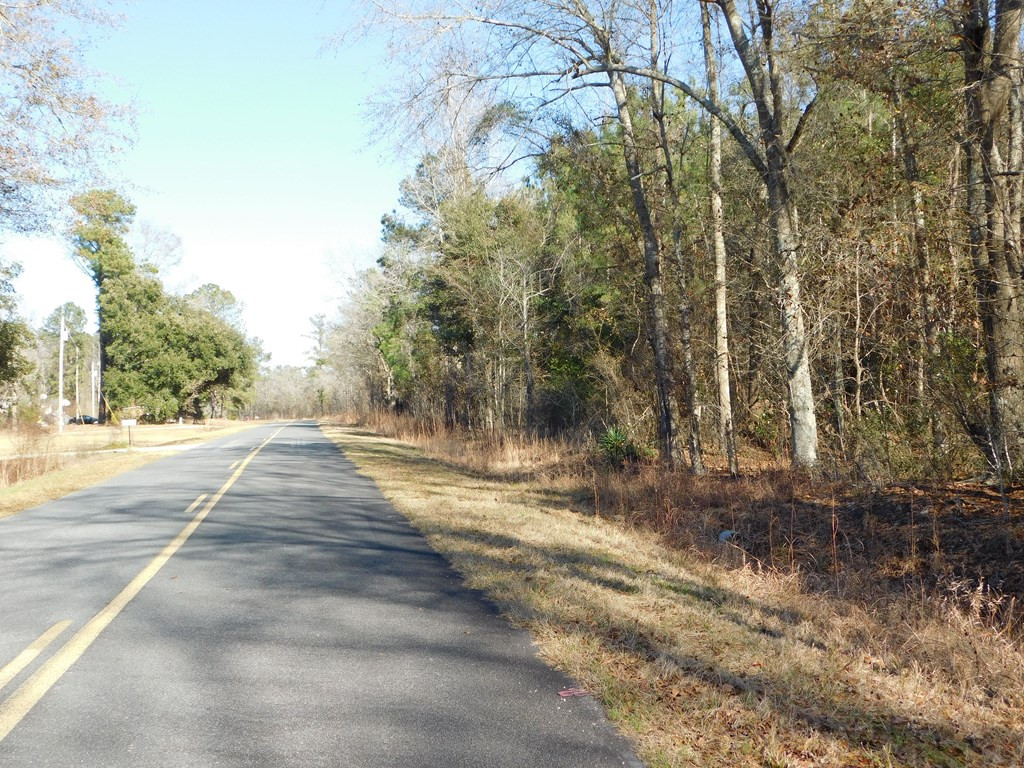 0 Tobias Road Manning, SC 29102 - Photo 6 of 8