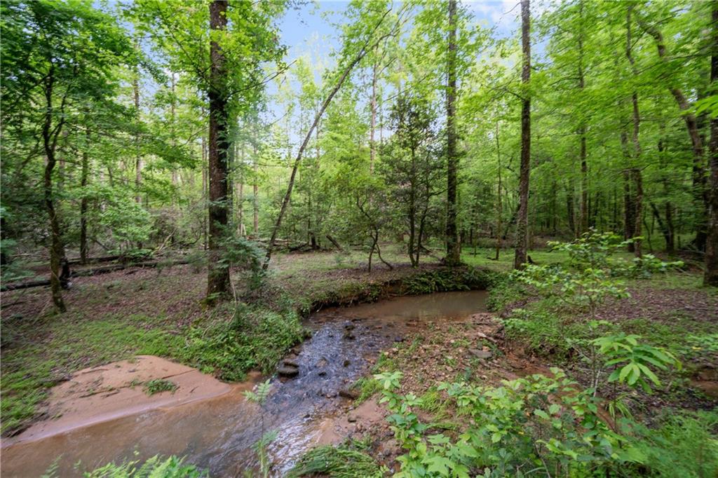 1447 Travis Smith Road Clarkesville, GA 30523 - Photo 11 of 73 a view of a forest with trees in the background