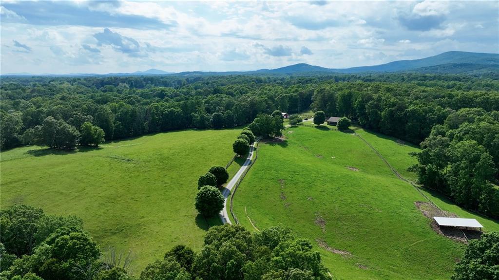 1447 Travis Smith Road Clarkesville, GA 30523 - Photo 13 of 73 a view of a garden with a building in the background
