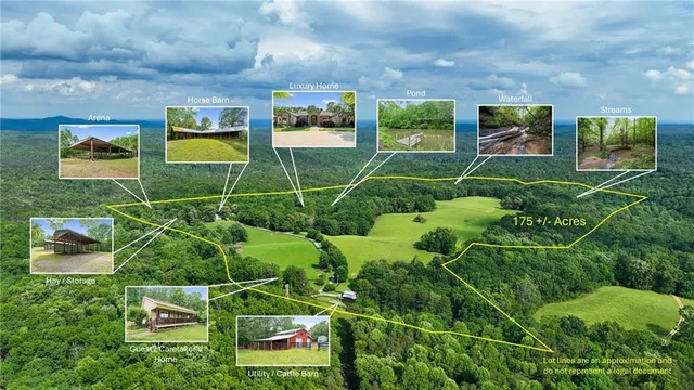 a view of a bunch of plants and trees in a field