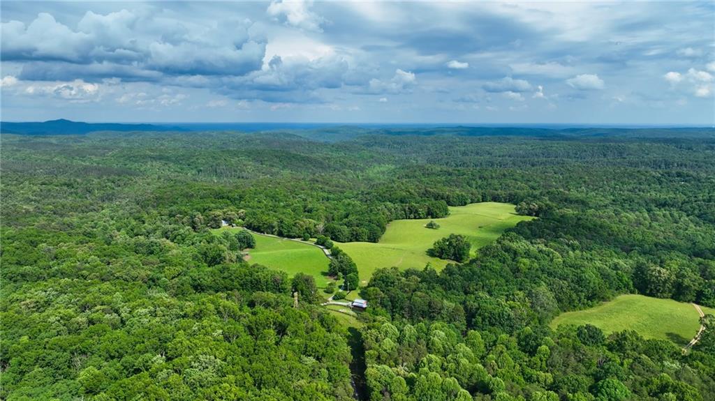 1447 Travis Smith Road Clarkesville, GA 30523 - Photo 3 of 73 a view of a bunch of plants and trees in a field
