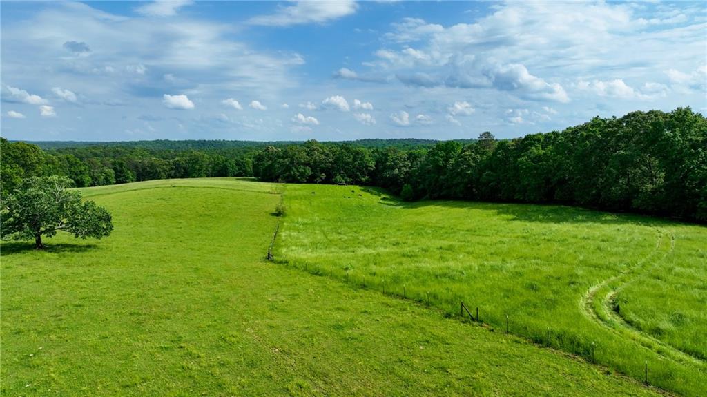 1447 Travis Smith Road Clarkesville, GA 30523 - Photo 4 of 73