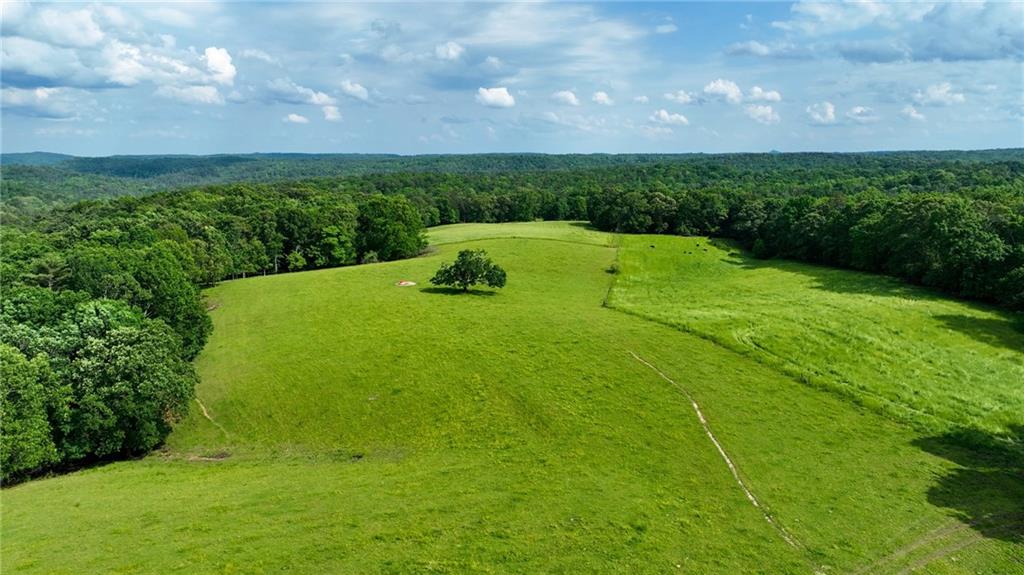 1447 Travis Smith Road Clarkesville, GA 30523 - Photo 71 of 73