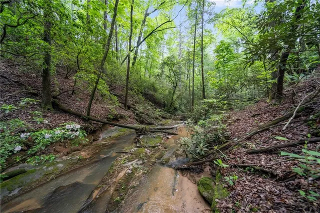 $4,300,000 | 1447 Travis Smith Road, Clarkesville, GA 30523