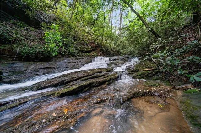 a view of entrance door of the house