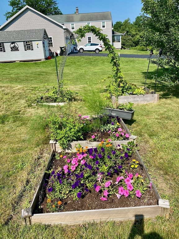 7 North Sturbridge Road Charlton, MA 01507 - Photo 42 of 42 a view of a flower in a yard of front of house