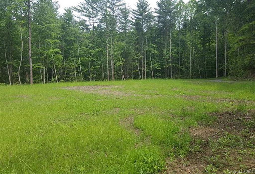 1338 Conley Springs Road Clyde, NC 28721 - Photo 1 of 16 a view of a lush green space